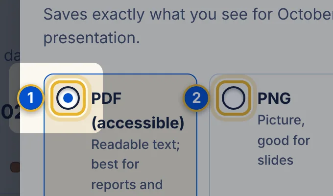 Close-up 1: PDF (accessible) file choice