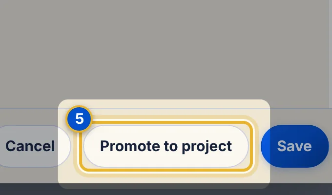 Close-up 5: Promote to project button
