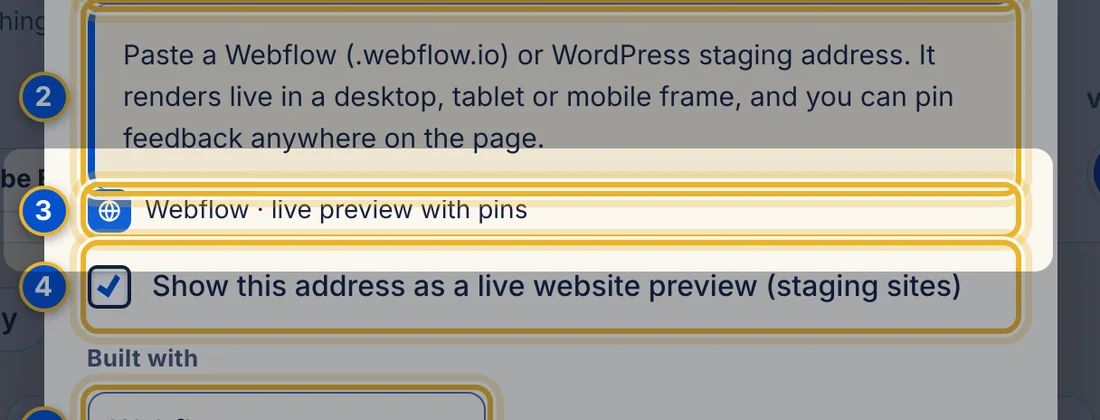 Close-up 3: Detected. IdeaLine names the source it found, such as “Webflow · live preview with pins”.