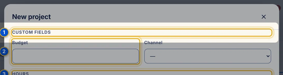 Close-up 1: Custom fields section
