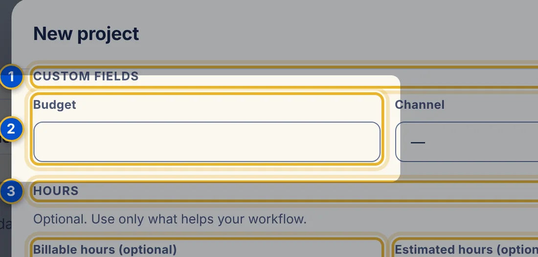 Close-up 2: Budget box (a field your workspace defined)